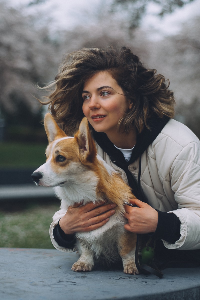 Photoshoot with Dog in Amsterdam