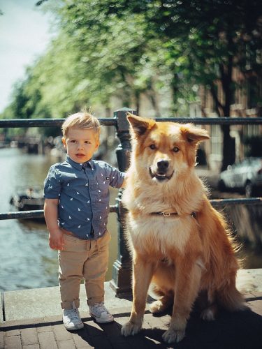 Openhartige familieportretten in Amsterdam
