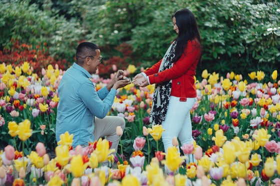 Surprise Wedding Proposal Photoshoot at Keukenhof