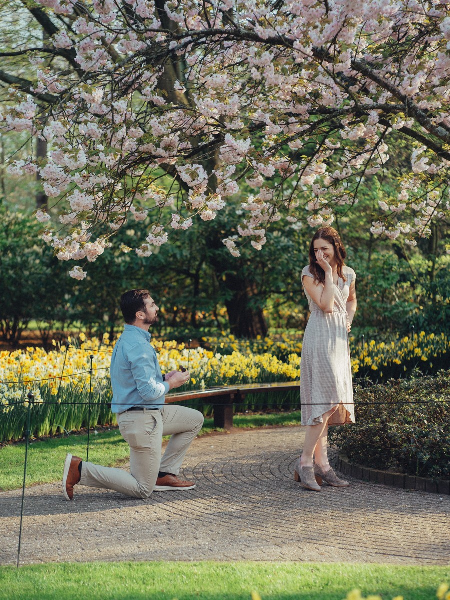 Marriage Proposal at Flower Garden