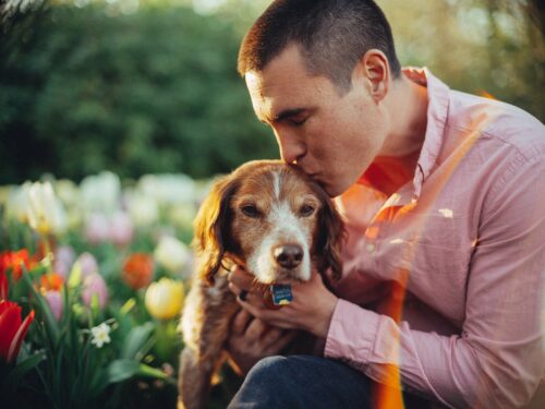Candid Keukenhof Dating Profile Photos with Dog