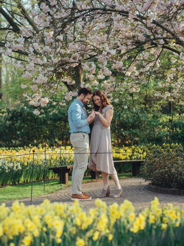 Marriage Proposal Engagement Photoshoot in Tulips