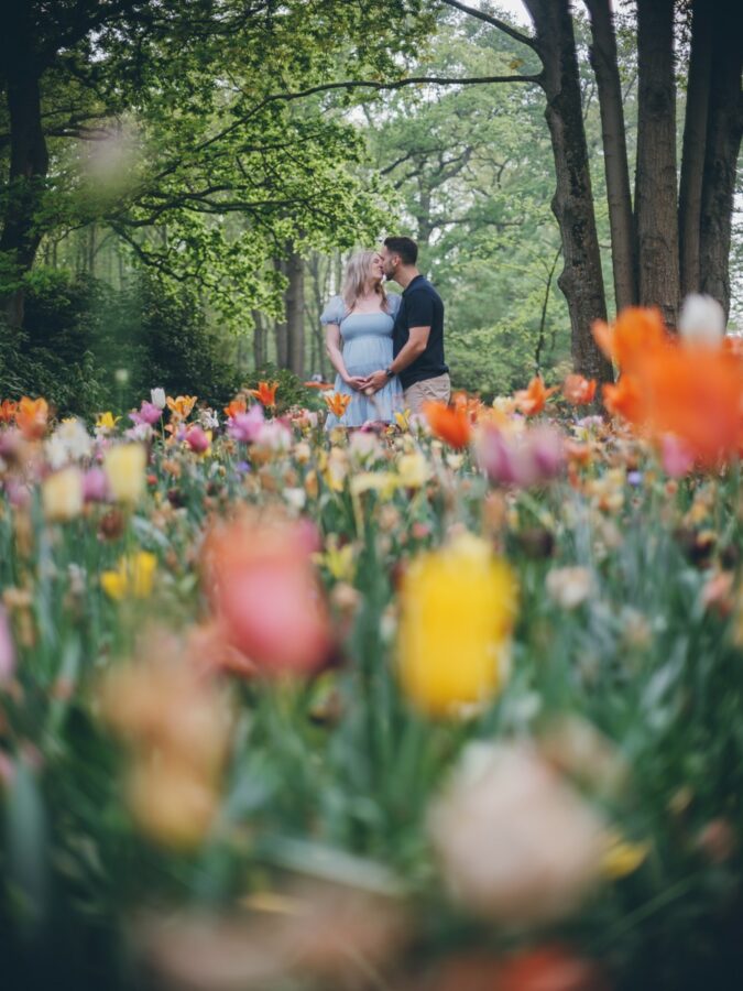 Tulip Fields Family Photoshoot