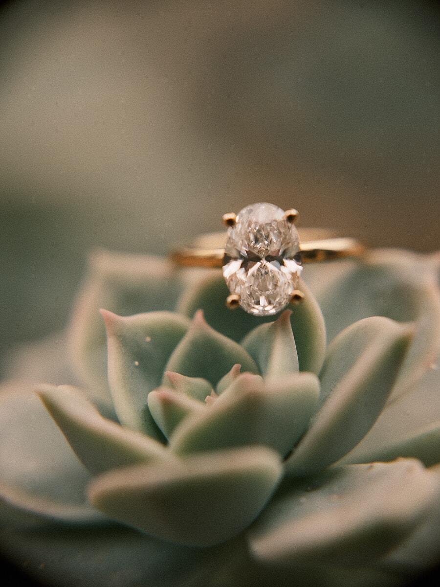 Ovale diamanten verlovingsring op een vetplant, gefotografeerd in het uur voor het verrassingsaanzoek